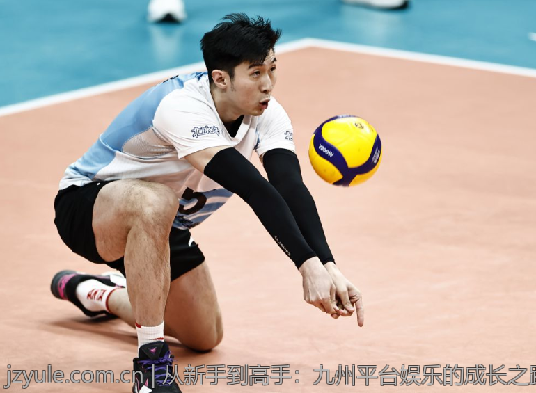 从新手到高手：九州平台娱乐的成长之路